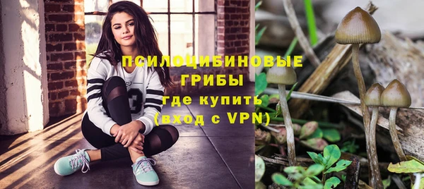 винт Белокуриха