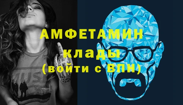 сатива Балахна