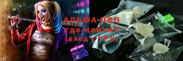 сатива Балахна