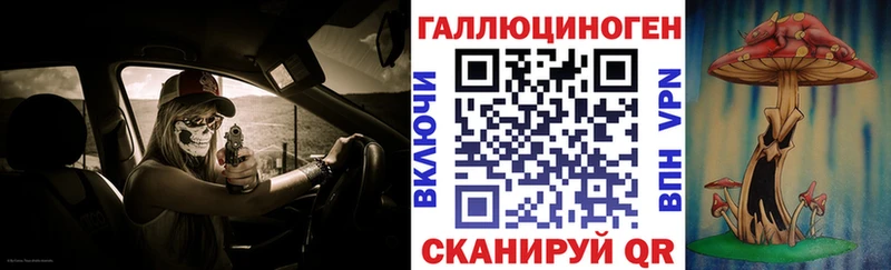 Псилоцибиновые грибы Psilocybine cubensis  площадка какой сайт  Свободный 