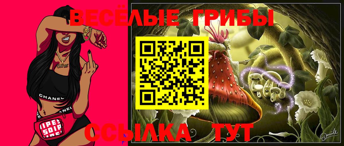 Галлюциногенные грибы Psilocybe Свободный